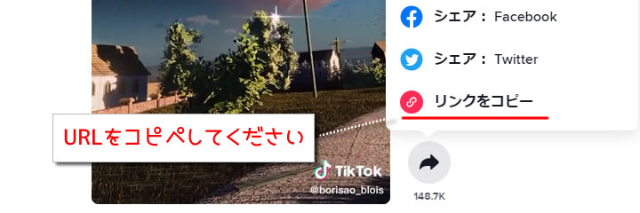 tiktok動画説明