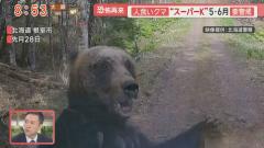 動物のスレ画像_2