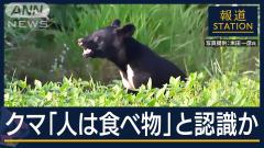 動物のスレ画像_3