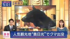 動物のスレ画像_8