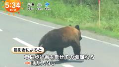 動物のスレ画像_14