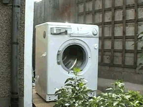 洗濯機が欲しいの画像