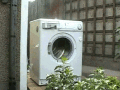 洗濯機が欲しいの画像サムネイル