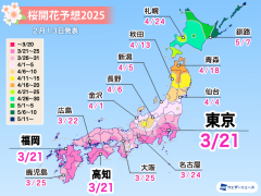 植物の画像サムネイル