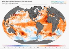 止まらない海面水温の上昇、最高記録更新の画像サムネイル